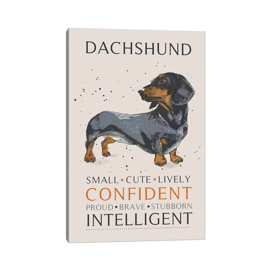 iCanvas "Dachshund" by Michelle Campbell Canvas Print