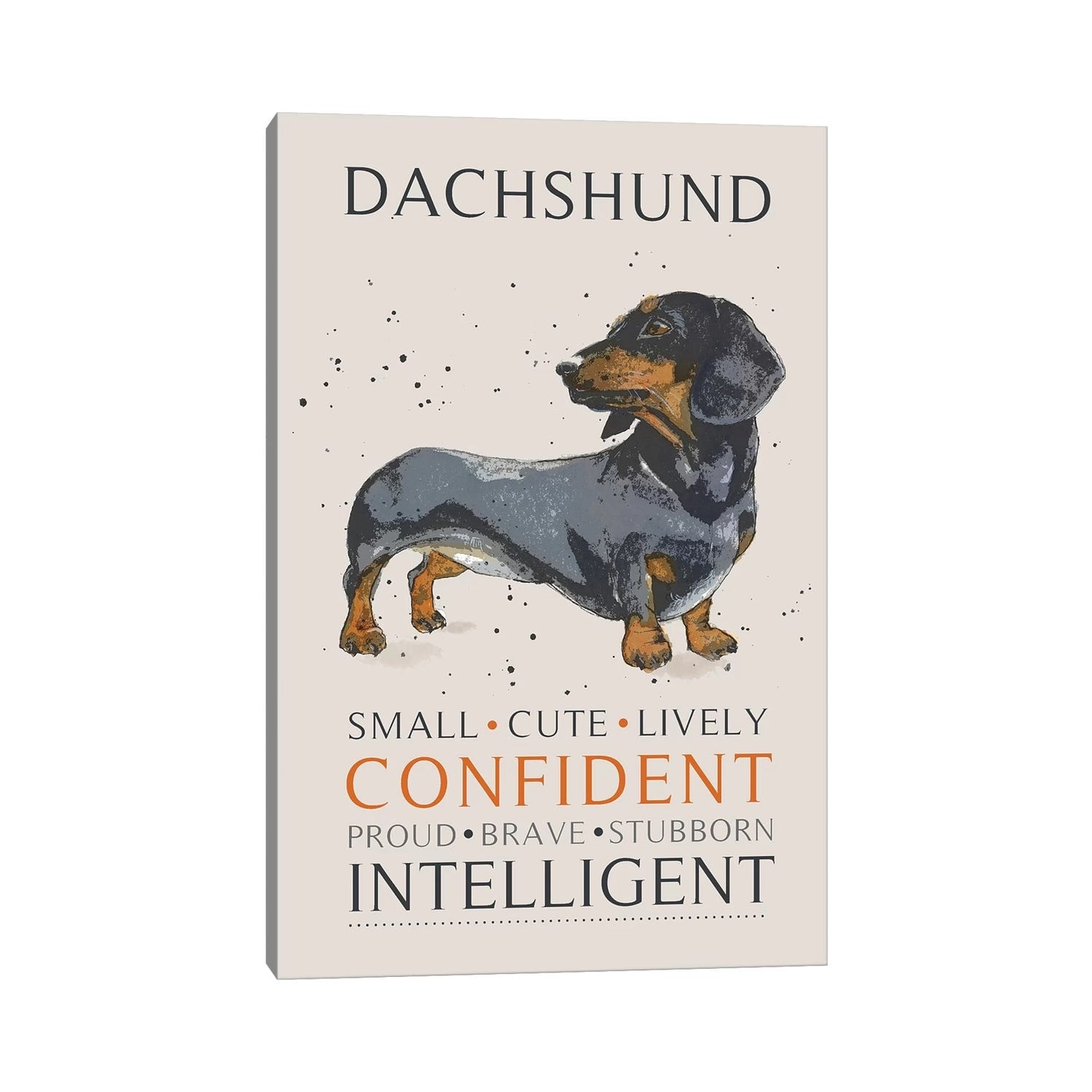 iCanvas "Dachshund" by Michelle Campbell Canvas Print