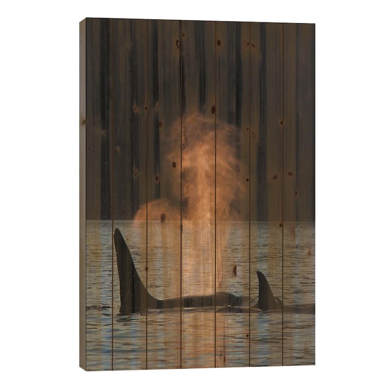 Orca Resident Pod Spouting, Prince William Sound, Alaska Print On Wood by Hiroya Minakuchi - Multi-Color - 26x18x1.5