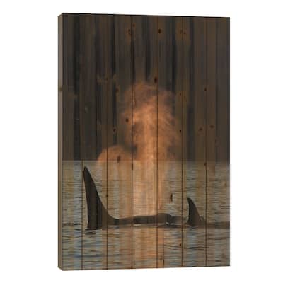 Orca Resident Pod Spouting, Prince William Sound, Alaska Print On Wood by Hiroya Minakuchi - Multi-Color