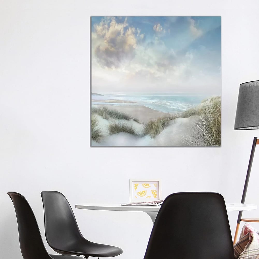 iCanvas "Windswept III" by Mike Calascibetta Canvas Print