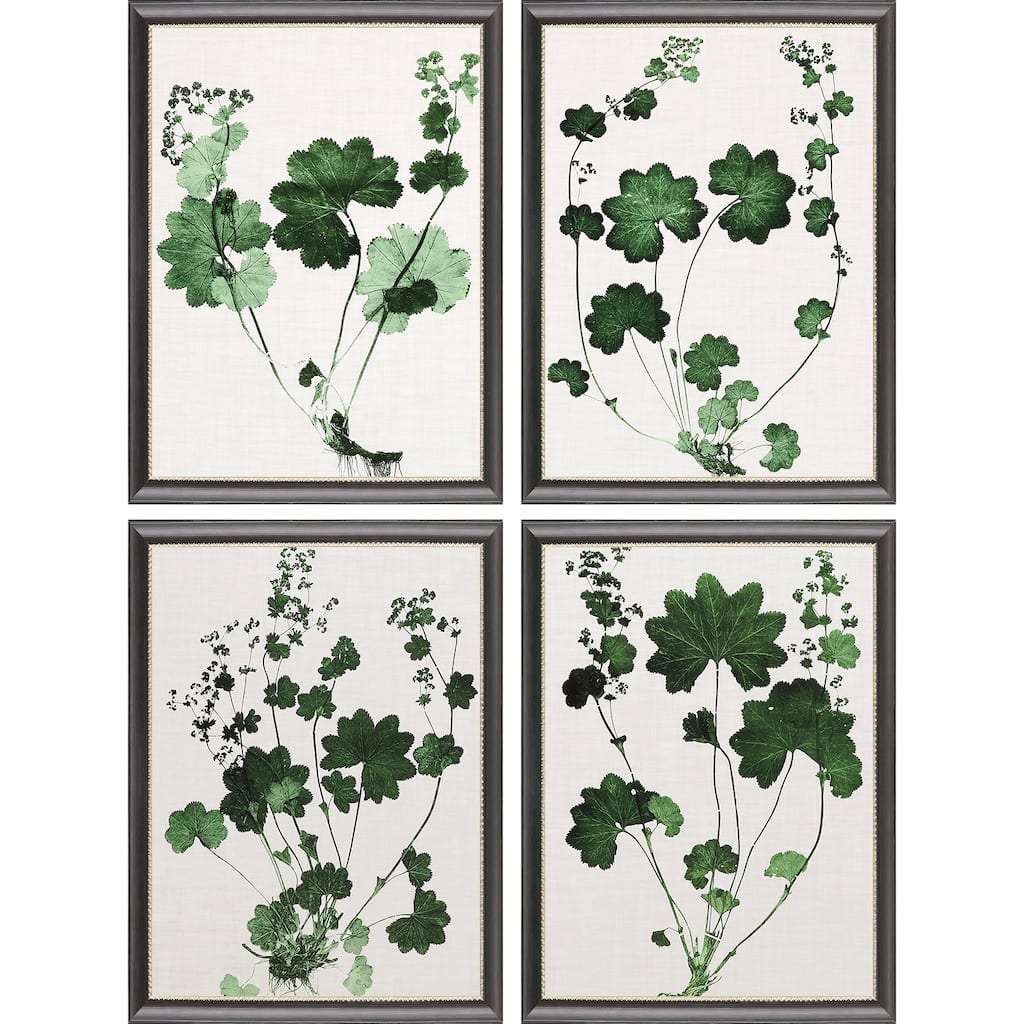 Forest Foliage S/4 Framed Art Giclee Under Glass - Green