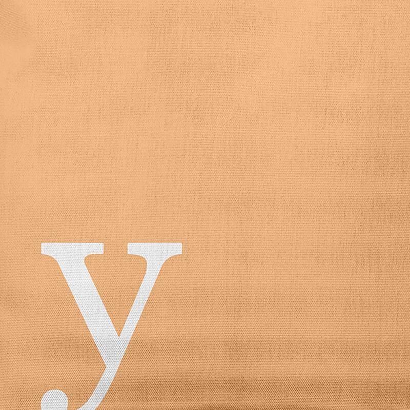 Modern Monogram Decorative Throw Pillow