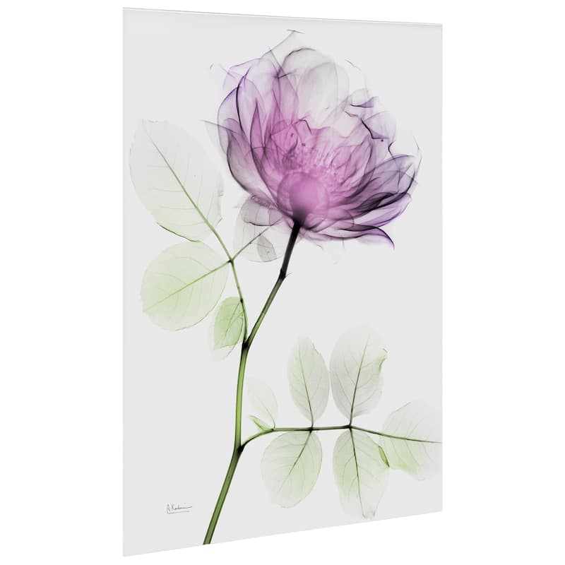 "Rose Dynasty 1" Frameless Free Floating Tempered Glass Panel Graphic Wall Art