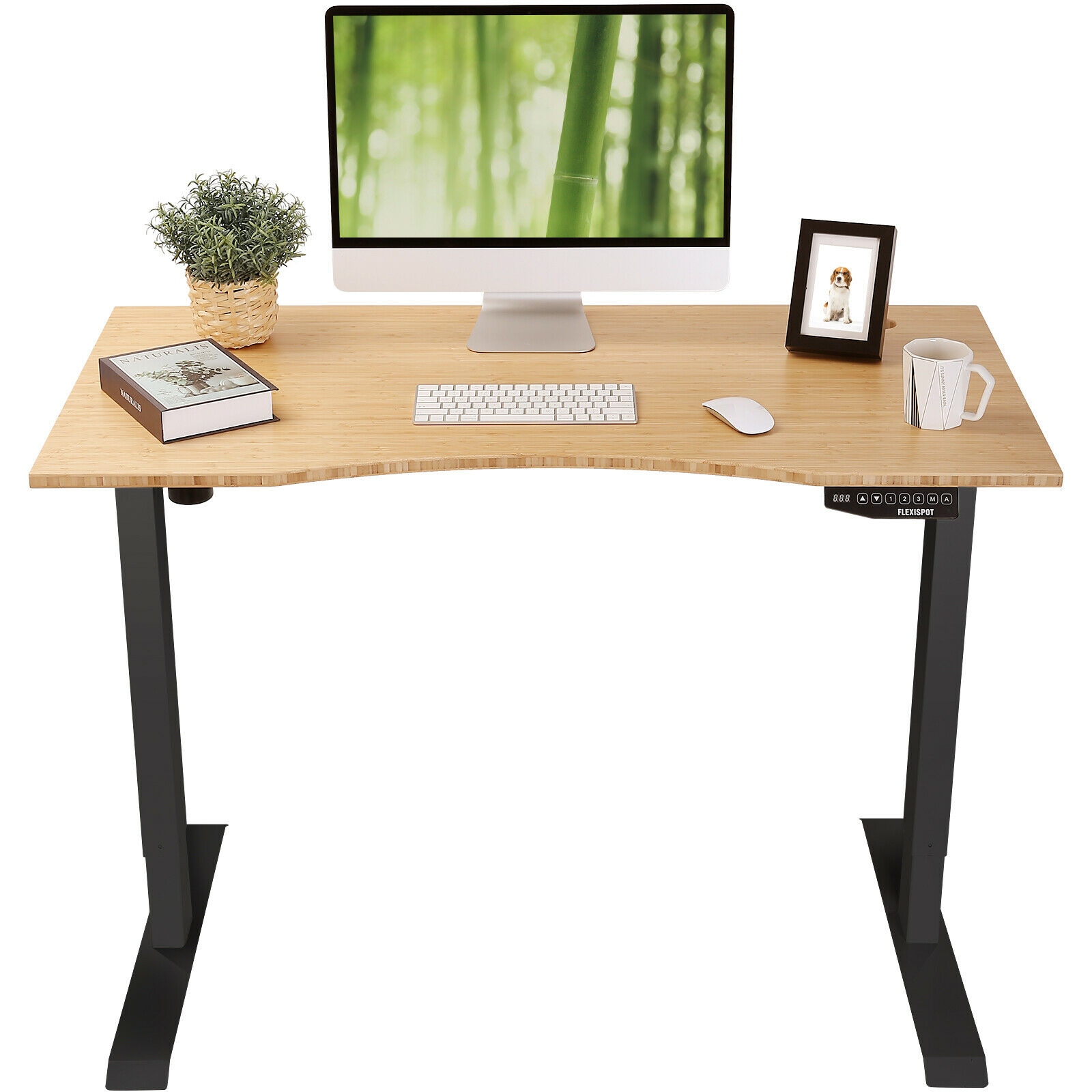 FLEXISPOT 48x24 Erogonomic Home Office Height Adjustable Standing Desk Curved Bamboo Desktop Computer Table Bed Bath Beyond 34780322