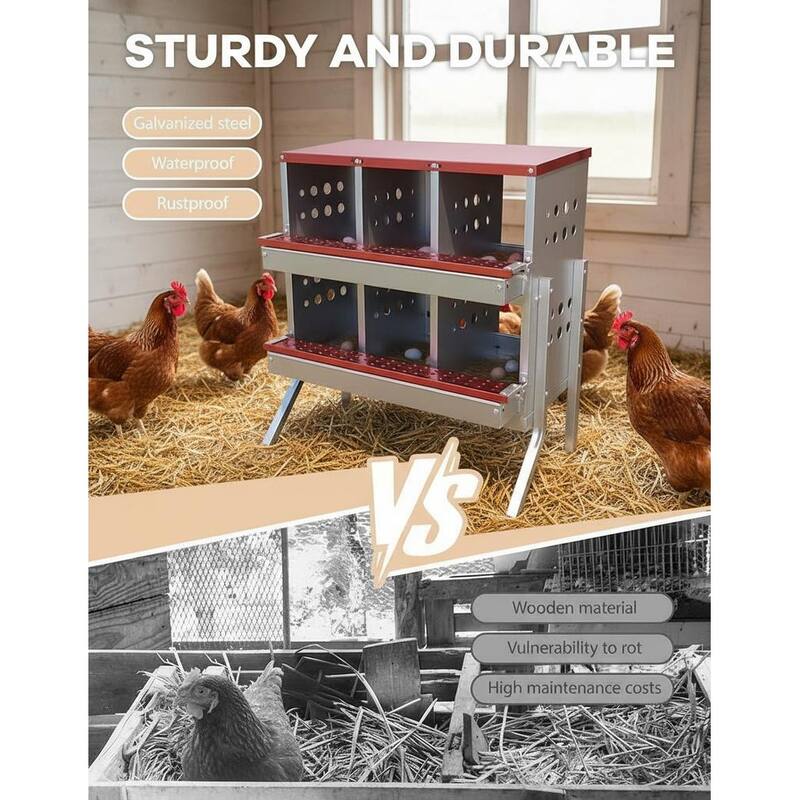 Chicken Nesting Boxes, with 6 Compartment