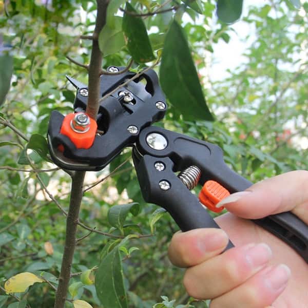 https://ak1.ostkcdn.com/images/products/is/images/direct/9d2c68ad5c4d47e3f36dcbd99b185176c6452eb3/Garden-Grafting-Tool-Set---Professional-Pruning-Shears-Cutting-Tool-for-Plant-Branch-Vine-Fruit-Trees.jpg?impolicy=medium