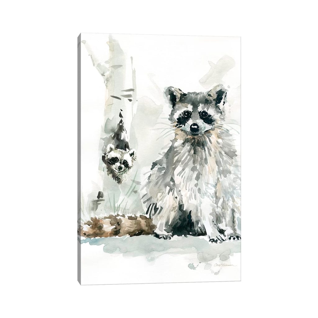 iCanvas "Raccoon and Baby" by Carol Robinson Canvas Print