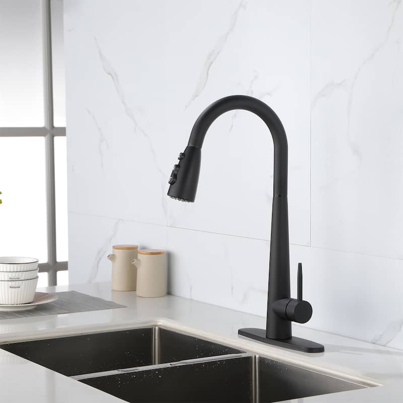 Kitchen Faucet with Pull Down Sprayer Stainless Steel