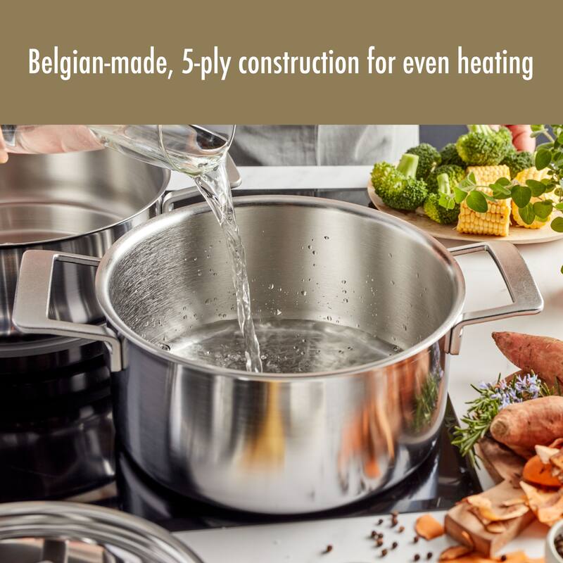 Demeyere Industry 5-Ply 5.5-qt Stainless Steel Dutch Oven