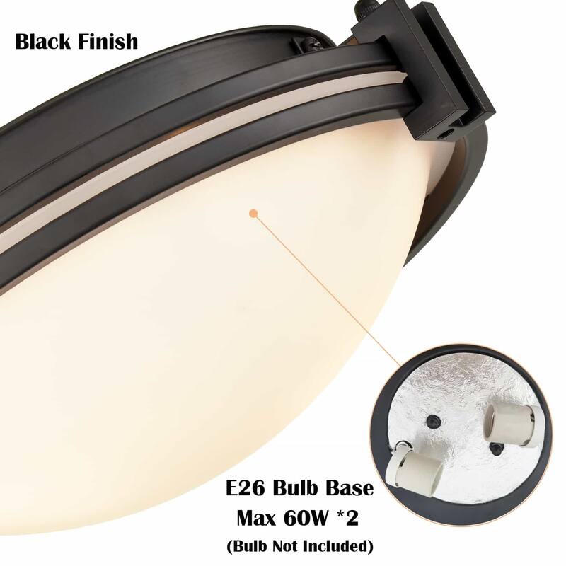 Robben Modern Flush Mount Ceiling Lighting 12-Inches , 2-Lights