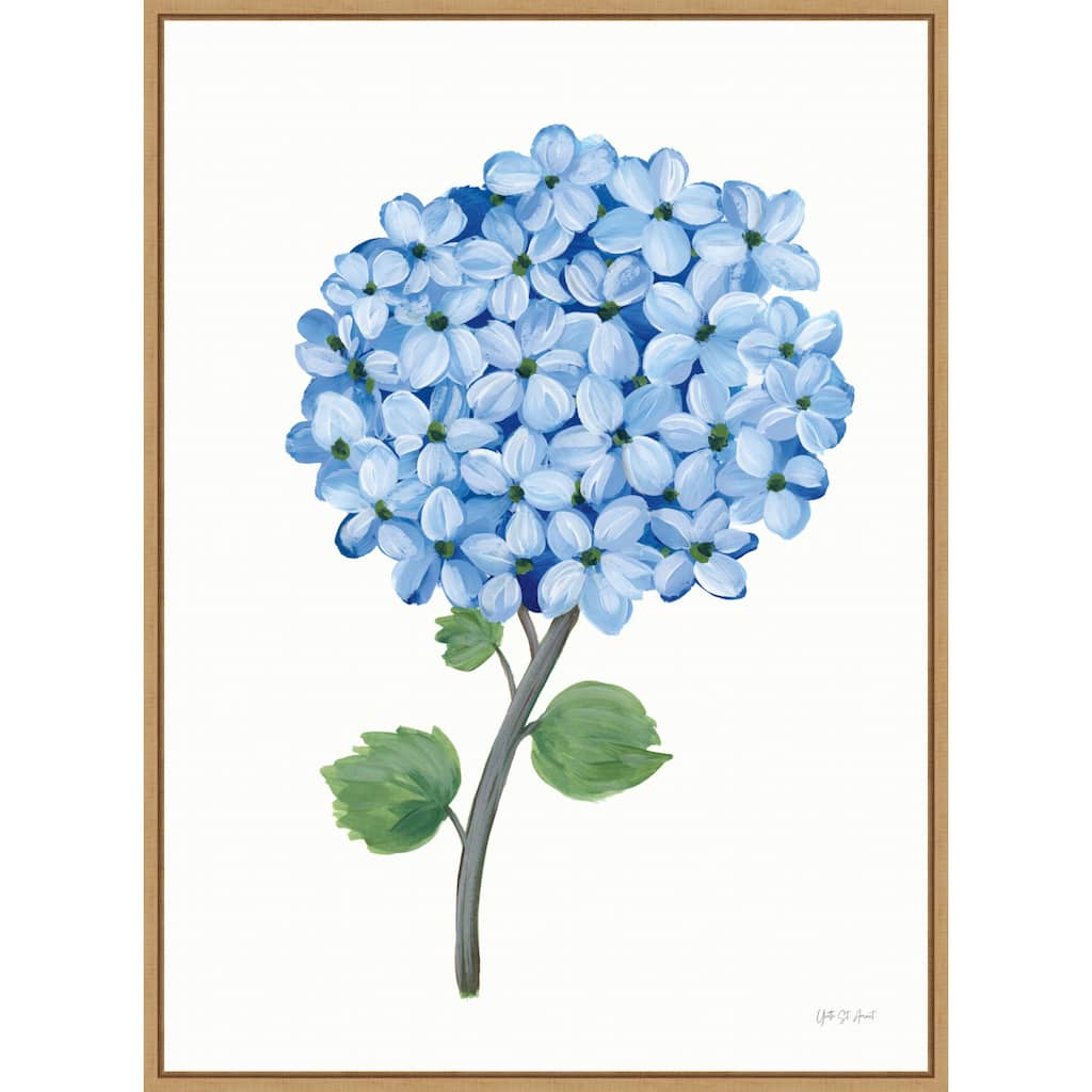Nantucket Blue Hydrangea No. 1 by Yvette St. Amant Framed Canvas Wall Art Print