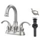 Option Brushed Nickel