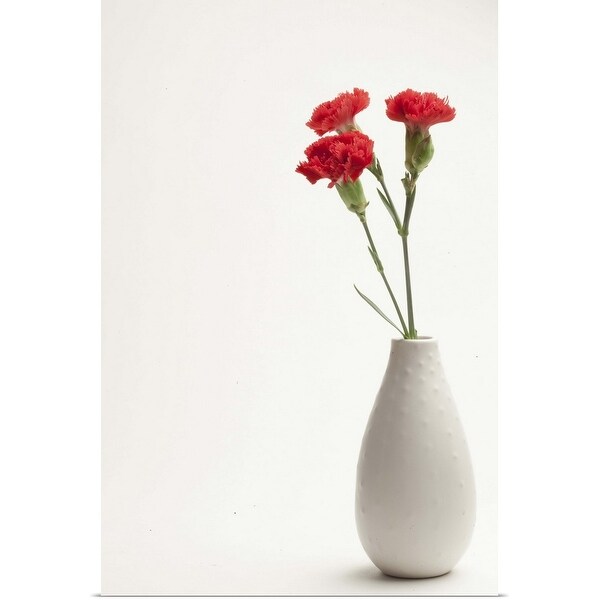 "Red carnations in vase" Poster Print