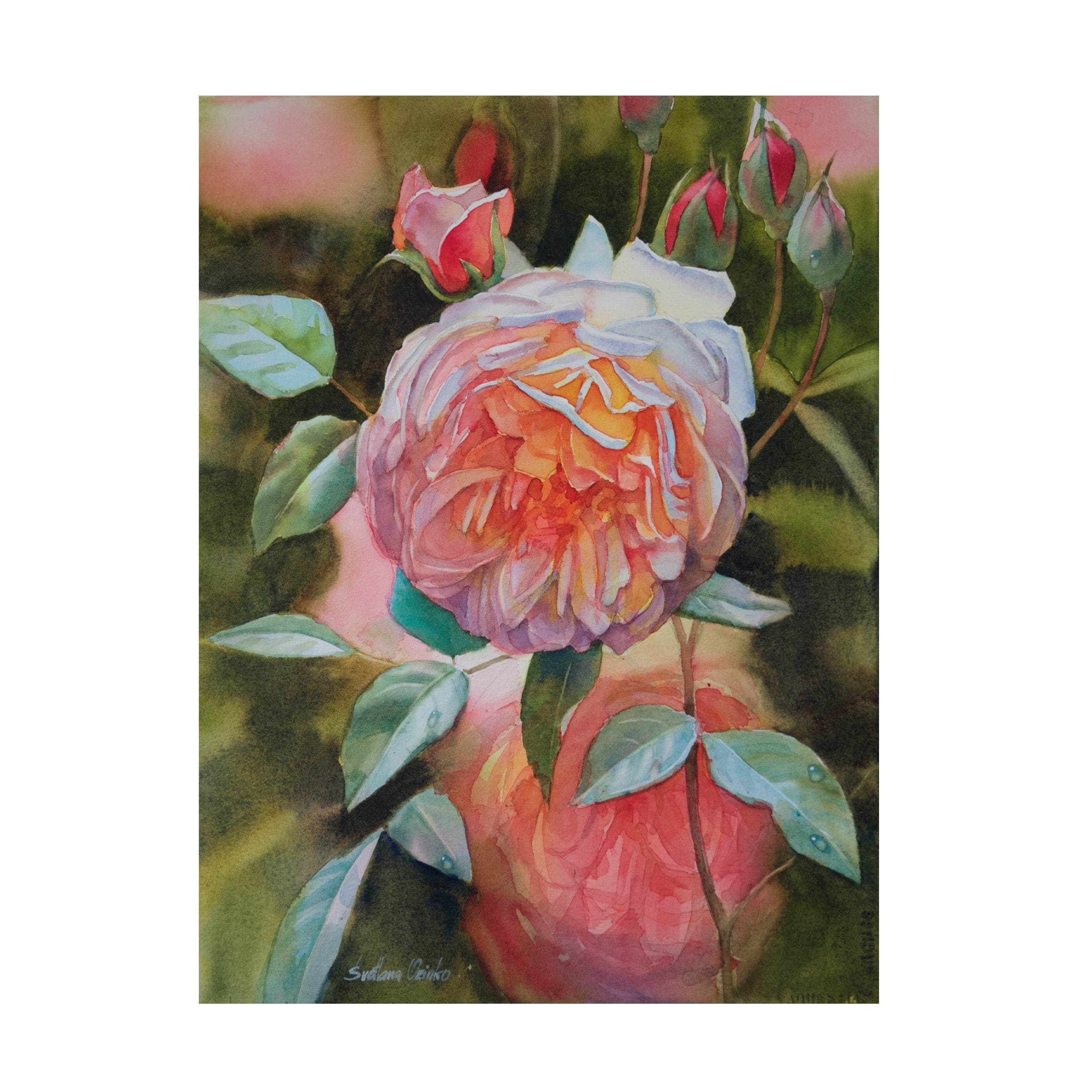Svetlana Orinko 'Rose Grace' Canvas Art
