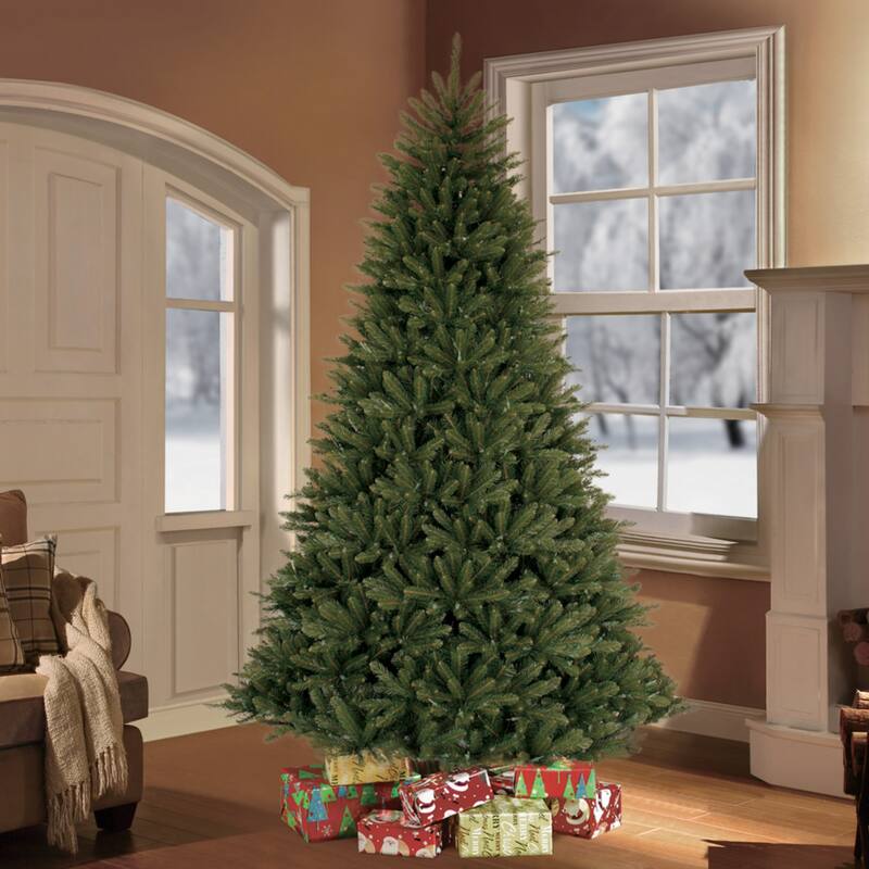 7' medium fraser fir artificial christmas tree unlit - 7 Foot