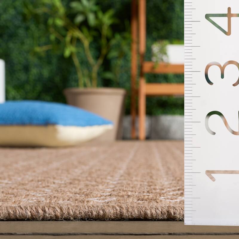 SAFAVIEH Sisal Performance Dominique Washable Indoor/Outdoor Rug - Weather Resistant & Easy Cleaning