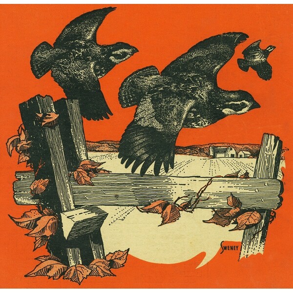 Nature Magazine View Of Swifts Birds On A Fence Art Print Multiple Sizes Available 9 X 12 Art Print