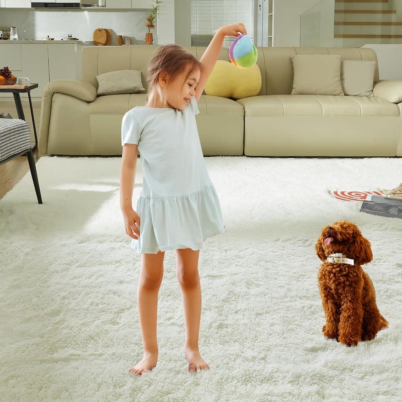 4X6 Fluffy Shag Area Rugs, Super Soft Rugs for Living Room