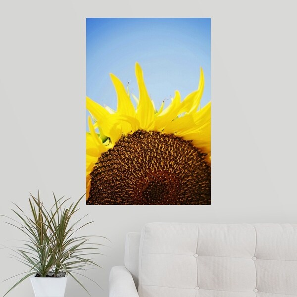 Sun Flower Against A Blue Sky Art Print Home Decor Wall Art Poster C 