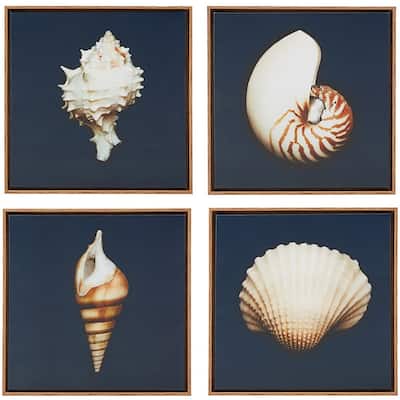 Madison Park Ocean Seashells 4-piece Framed Canvas Wall Art Set - Blue