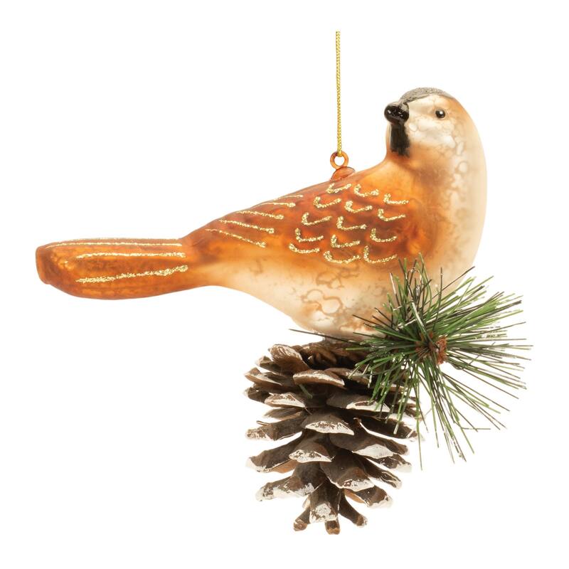 Glittered Glass Bird and Piencone Ornament (Set of 6) - N/A