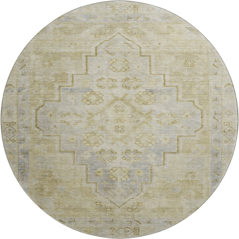 Premium Washable Super Soft Vintage Traditional Mayfield Rug