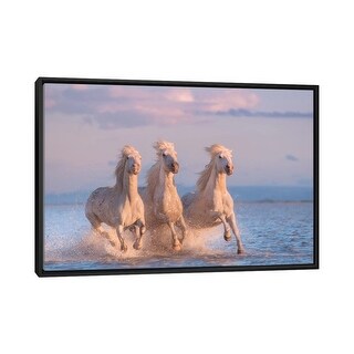 iCanvas "White Angels Of Camargue XXX" by Daniel Kordan Framed Canvas ...