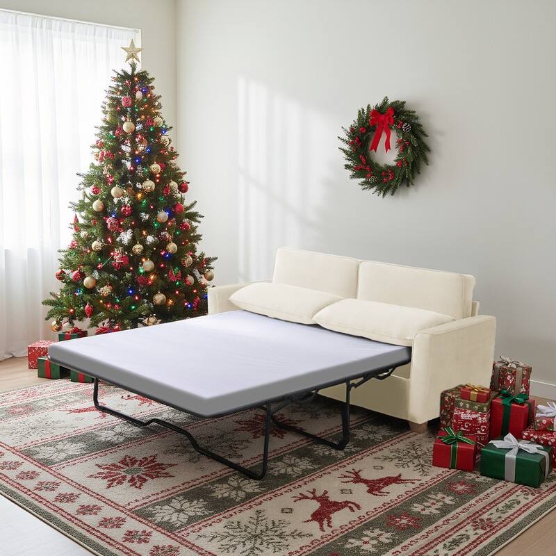 MIxoy Modern Velvet Queen Size 2-in-1 Pull Out Sleep Sofa Bed