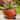 18.5" Hand Painted Ceramic Goldfish Flower Pot "Goldie"