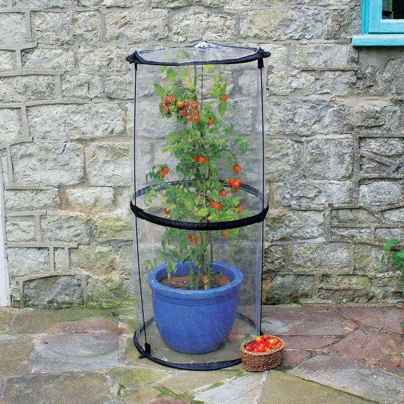 Haxnicks Twist Up Tomato Cloche 19"D x 43"H