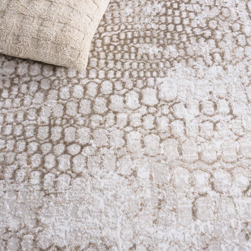 SAFAVIEH Carter Veronique Modern & Contemporary Rug