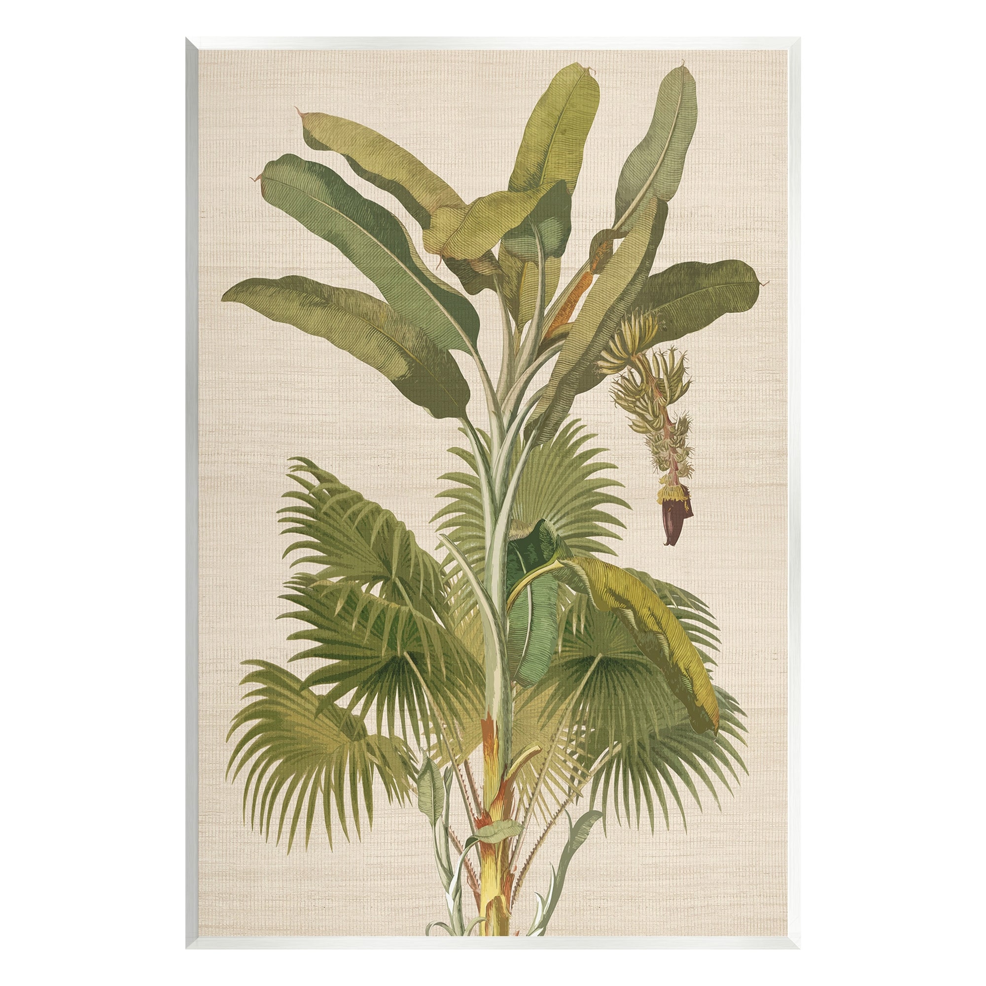Stupell Vintage Tropical Plant Wall Plaque Art Design By Amber Sterling