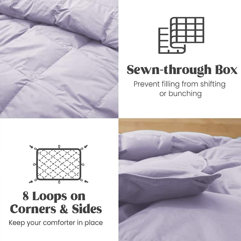 All Season 100% Organic Cotton Down Breathable Duvet Insert Medium Warmth Comforter