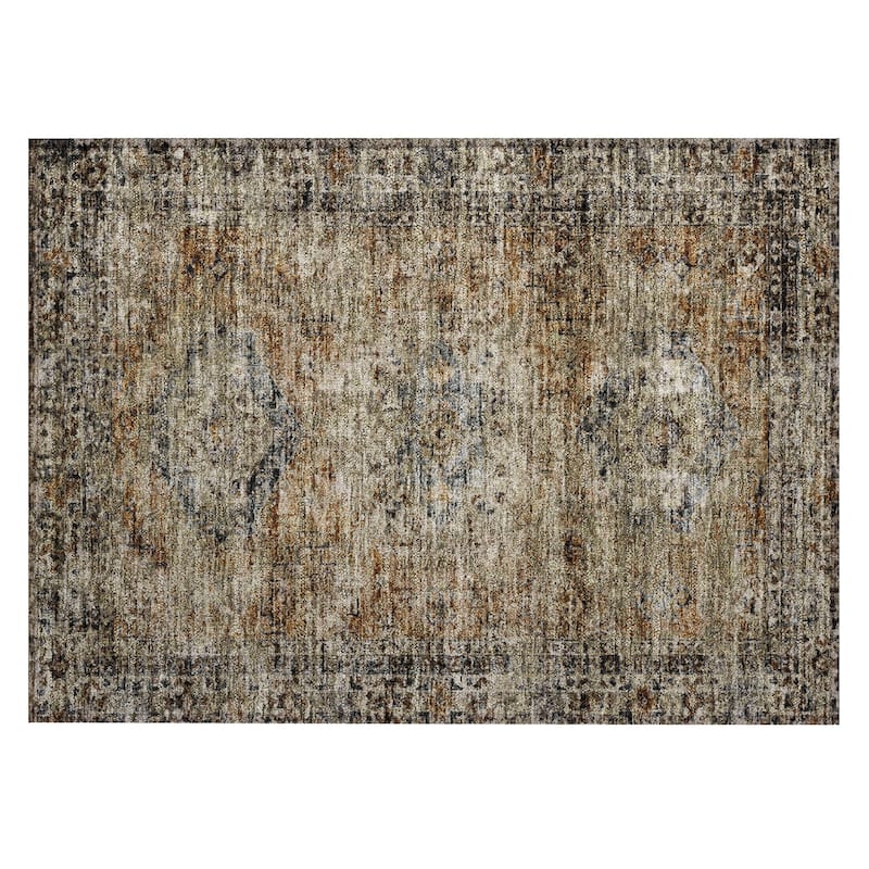 Machine Washable Indoor/Outdoor Vintage Traditional Chantille Rug