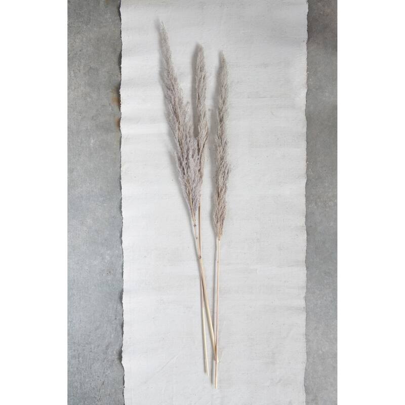 43-1/4"H Dried Natural Pampas Grass Bunch