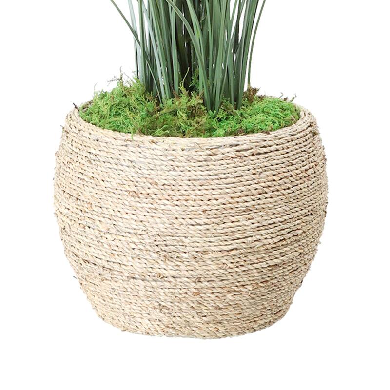 Grass in Strawgrass Planter - 39