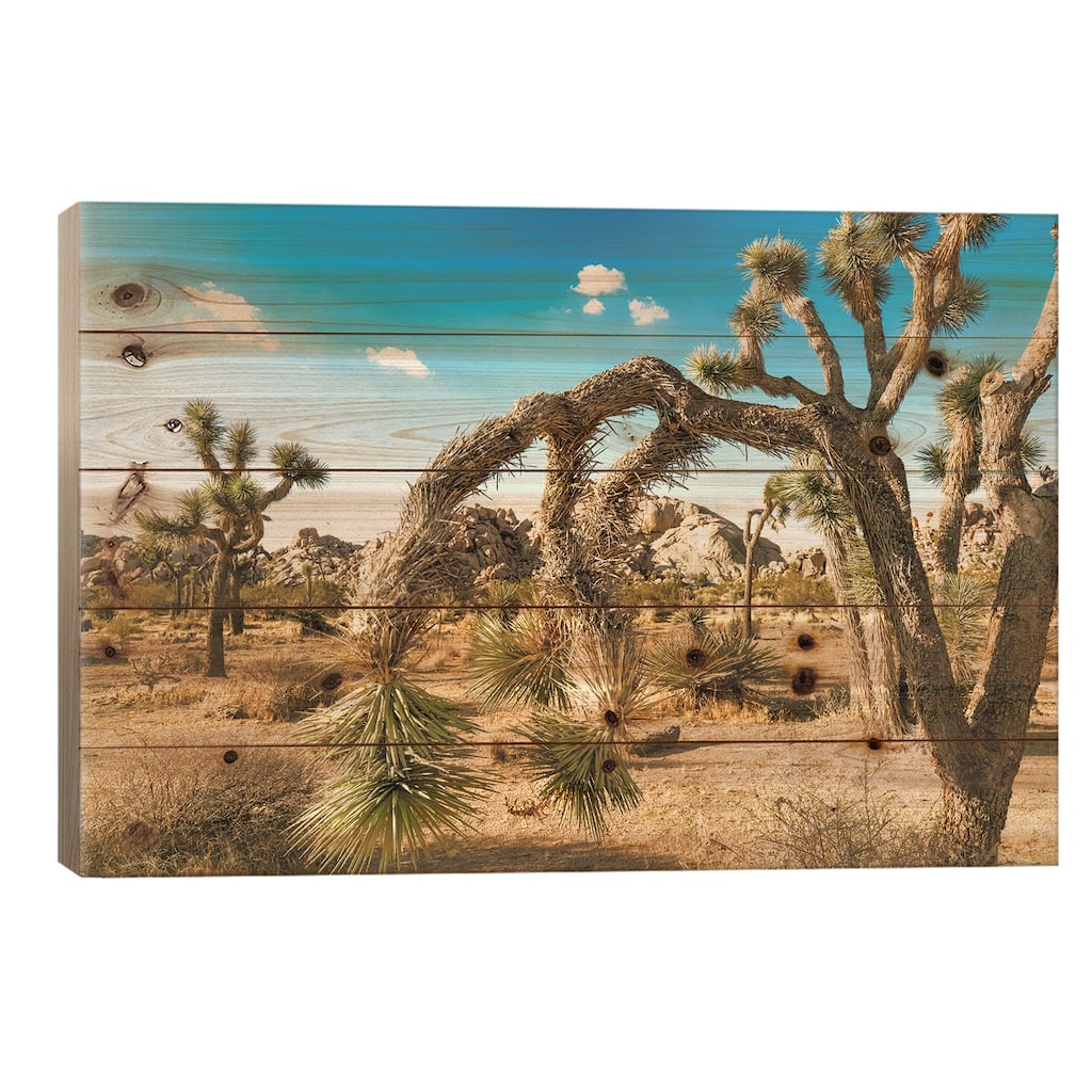Joshua Tree National Park Print On Wood by Mark Paulda - Multi-Color
