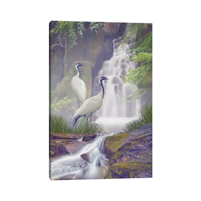 iCanvas "Mistic Crane Falls" by Steve Hunziker Canvas Print
