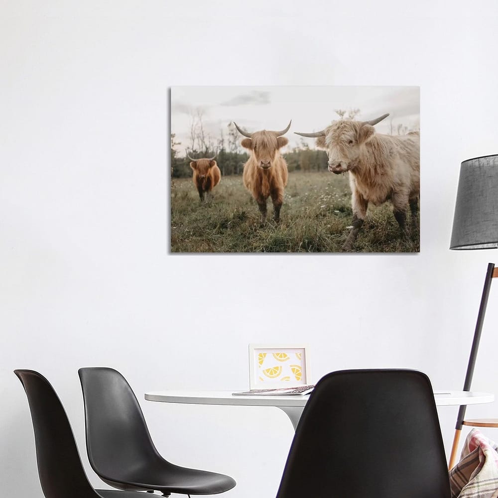 iCanvas "Cows In The Field At Sunrise" by Chelsea Victoria Canvas Print