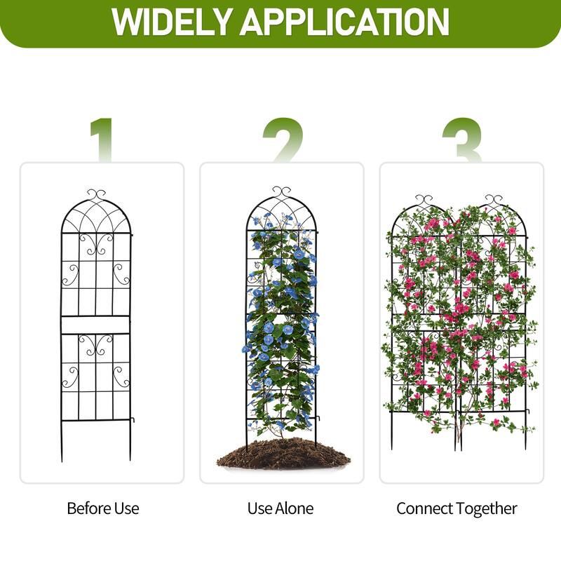 2-Pack Garden Trellis Black Iron 16x61" with Arched Top for Roses Flowers and Vegetable Plants - (16 x 61)" (W x H)