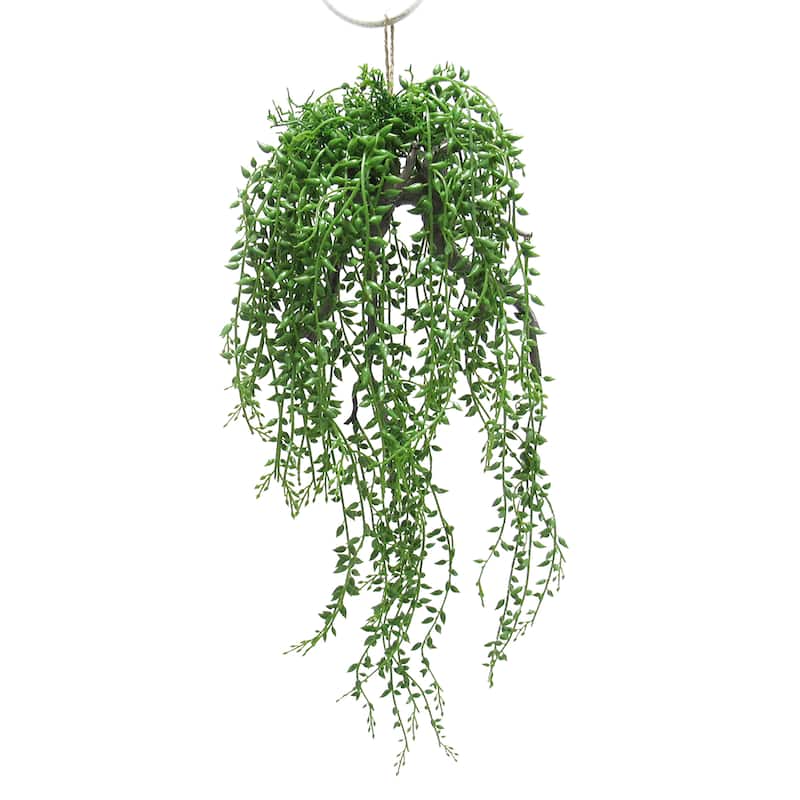 Artificial String of Pearls Tears Donkeytail Succulent Hanging Air Plant 20.5in - Green - 20.5" L x 8" W x 7" DP