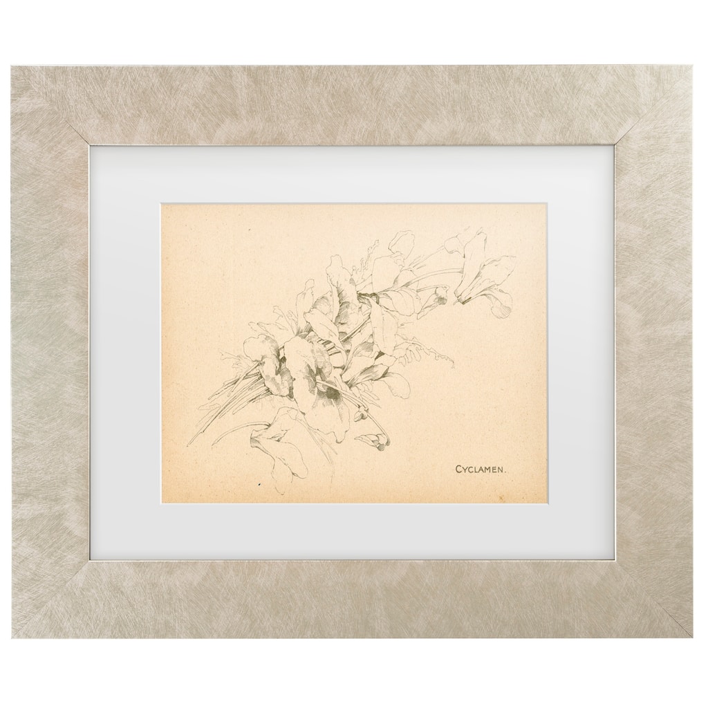 Art Licensing Studio 'Cyclamen' Matted Framed Art
