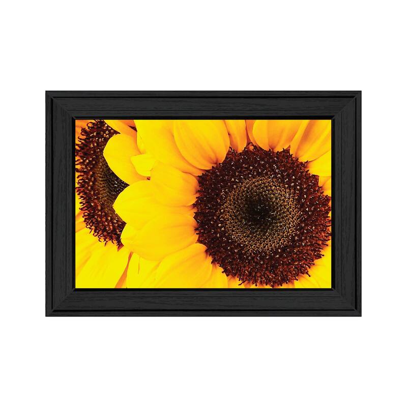 TrendyDecor4U Contemporary "Sunflower Portrait" Framed Print Wall Art - Charcoal