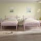 Option Pink