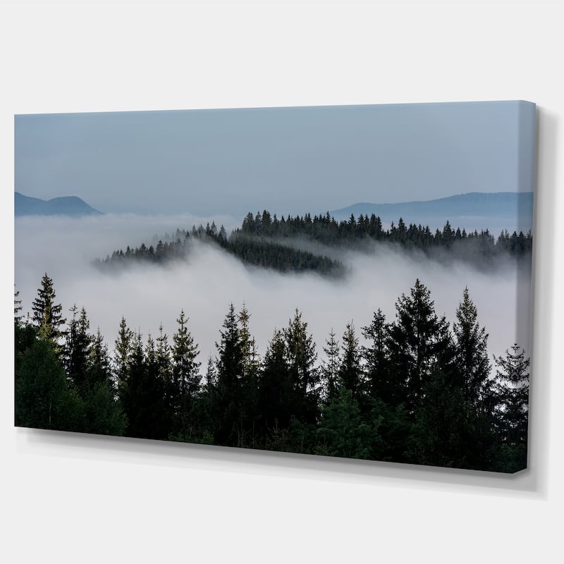 Dark Trees and Fog Over Mountains - Landscape Art Print Canvas
