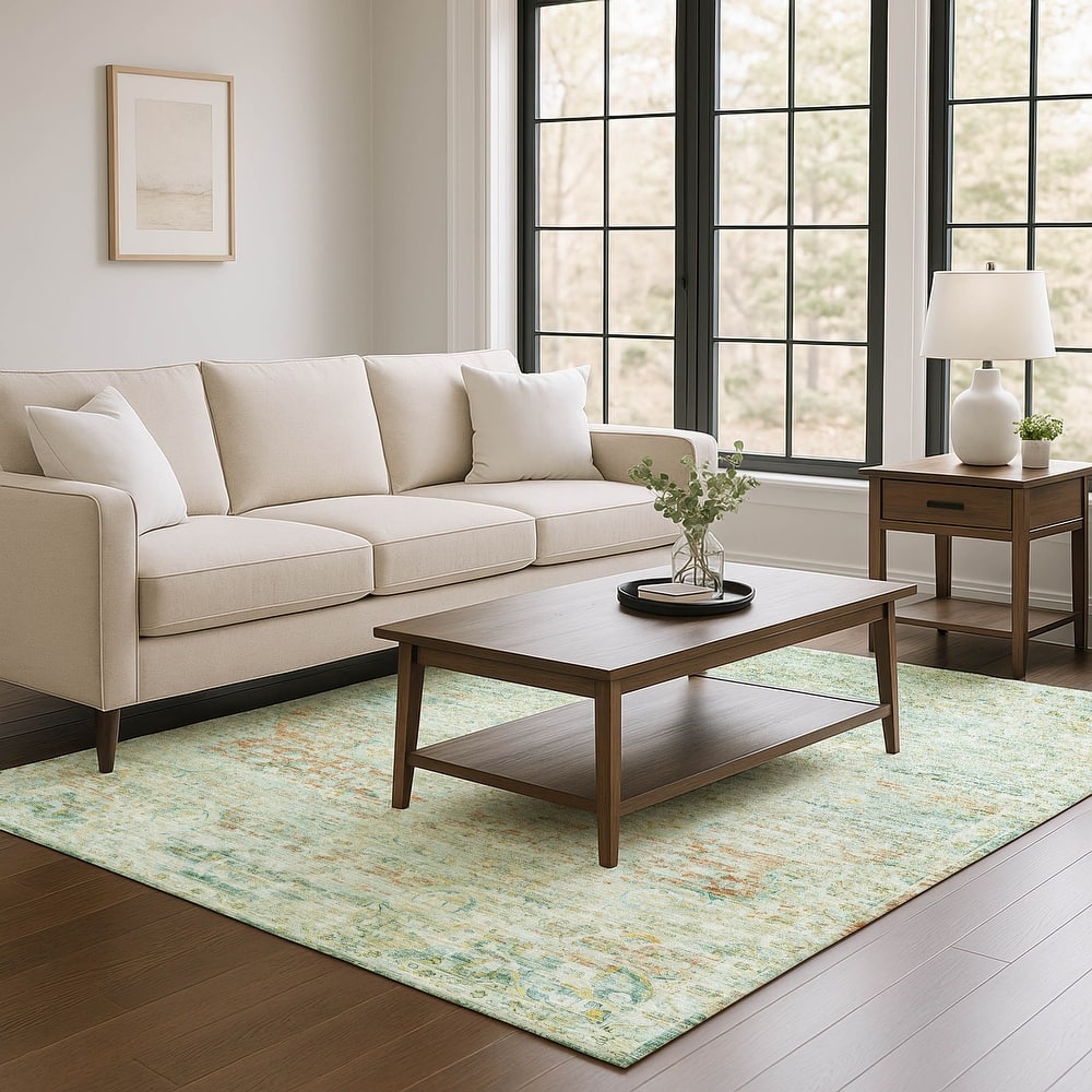 Premium Washable Super Soft Vintage Traditional Mayfield Rug