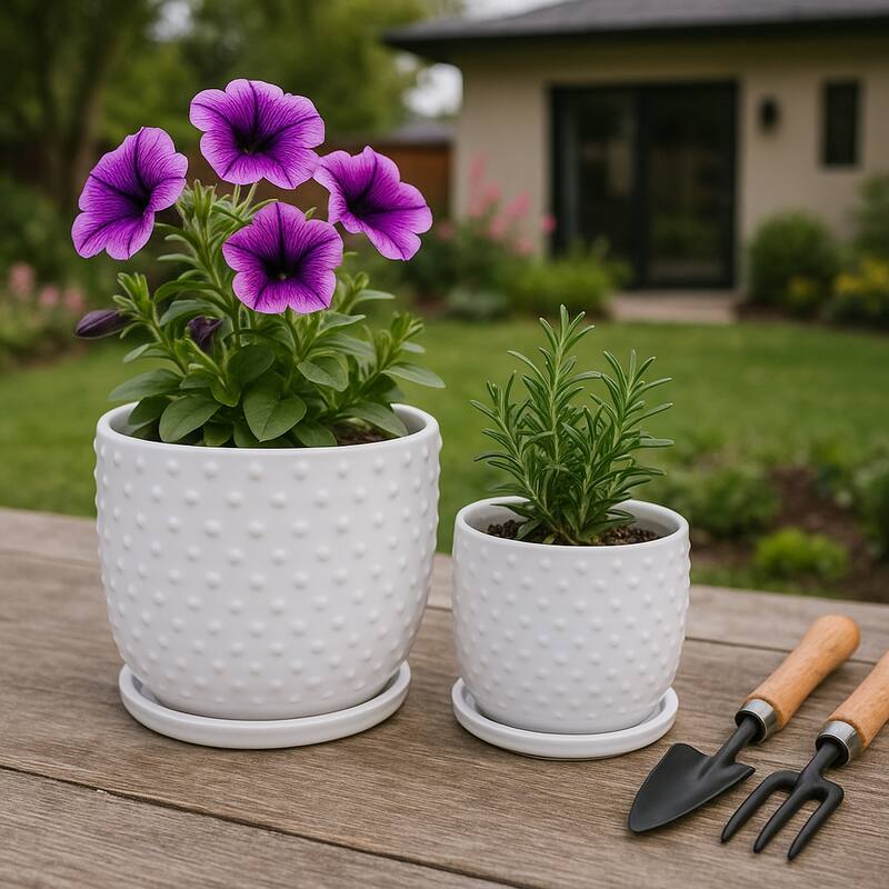 Ceramic Circular Saucer Planters Set of 2 - 6/8 in.