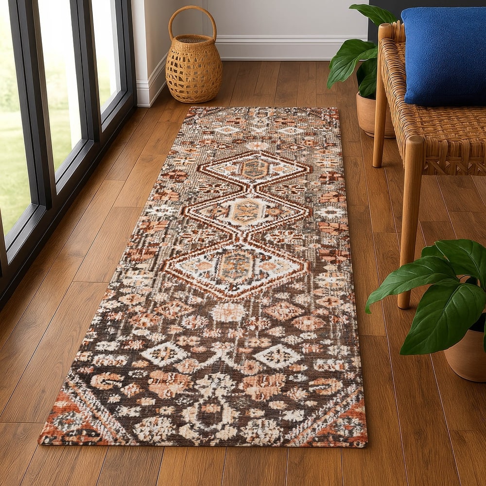 Premium Washable Super Soft Traditional Global Mayfield Rug