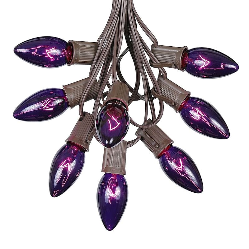25 Foot C9 Twinkle Christmas Light Set, Hanging String Lights, Brown Wire - Purple